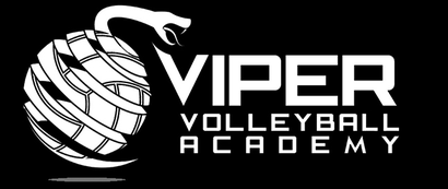 Viper Volleyball Academy